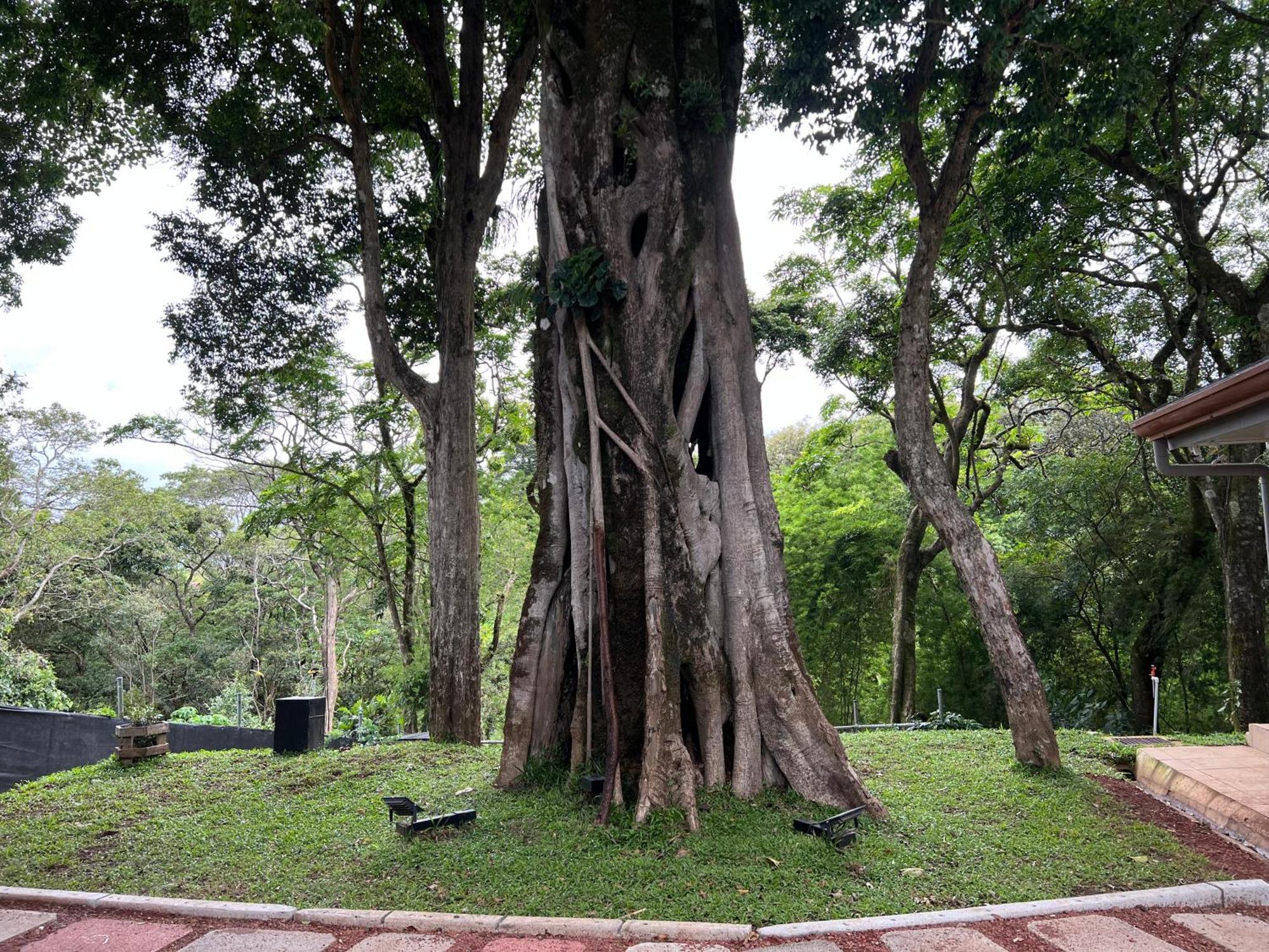 Villazul 1 Poas ภายนอก รูปภาพ